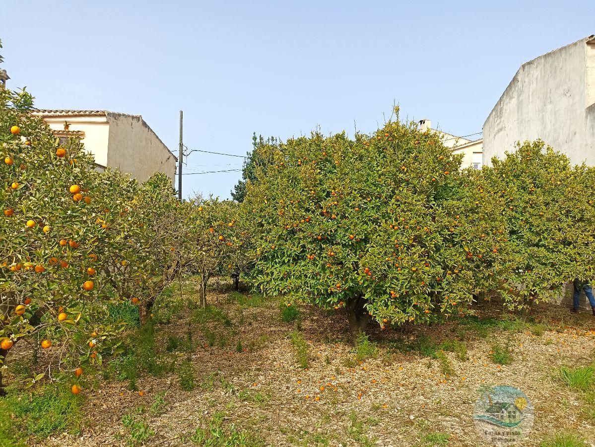 For sale of land in Montuïri