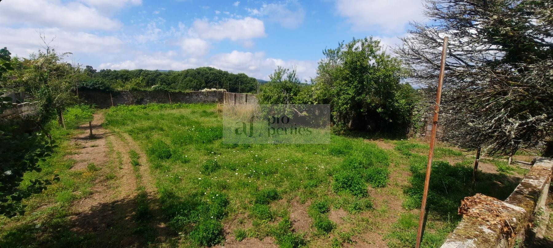 For sale of castle in Forcarei