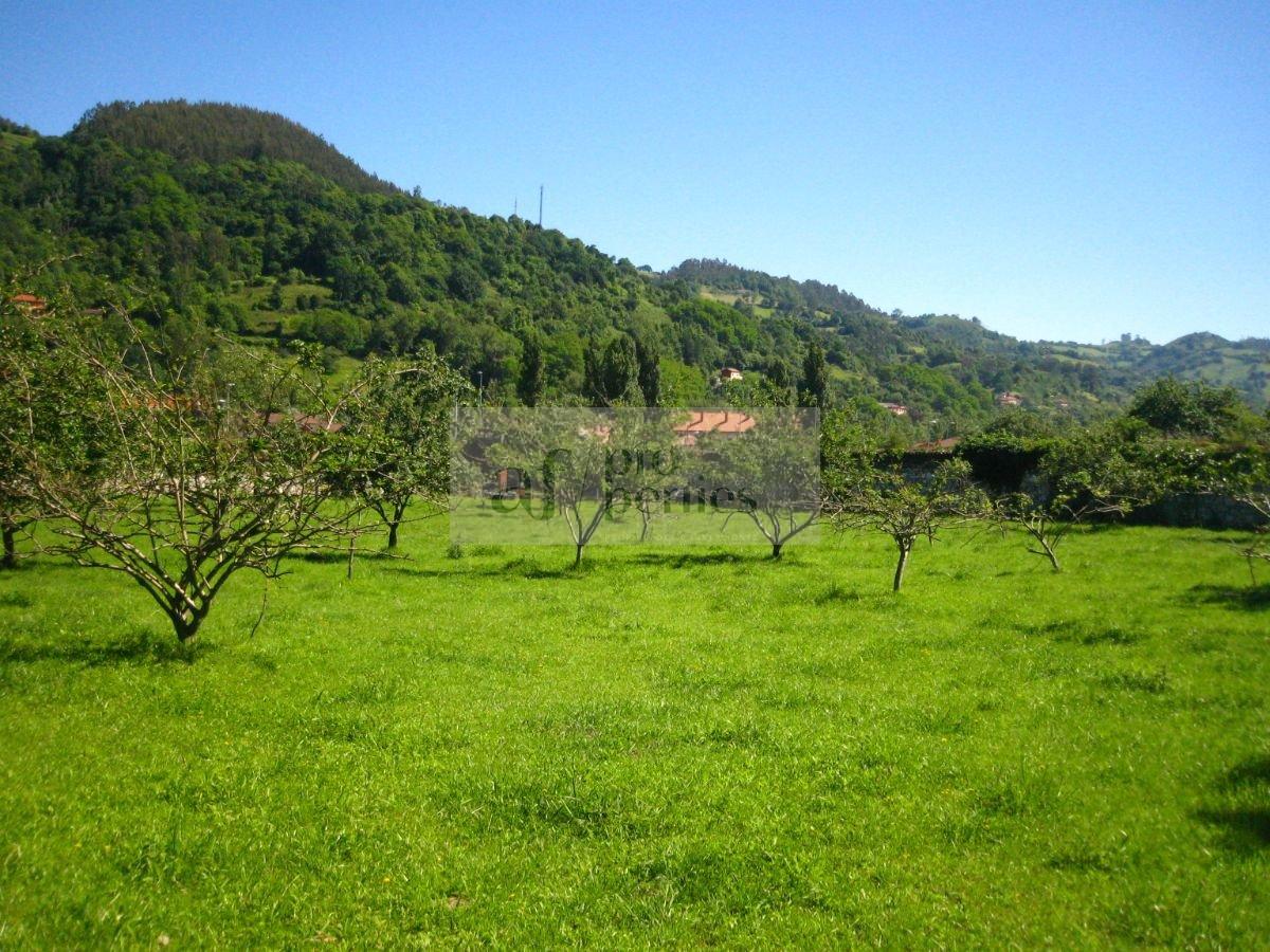 Zu verkaufen von villa in
 Allande