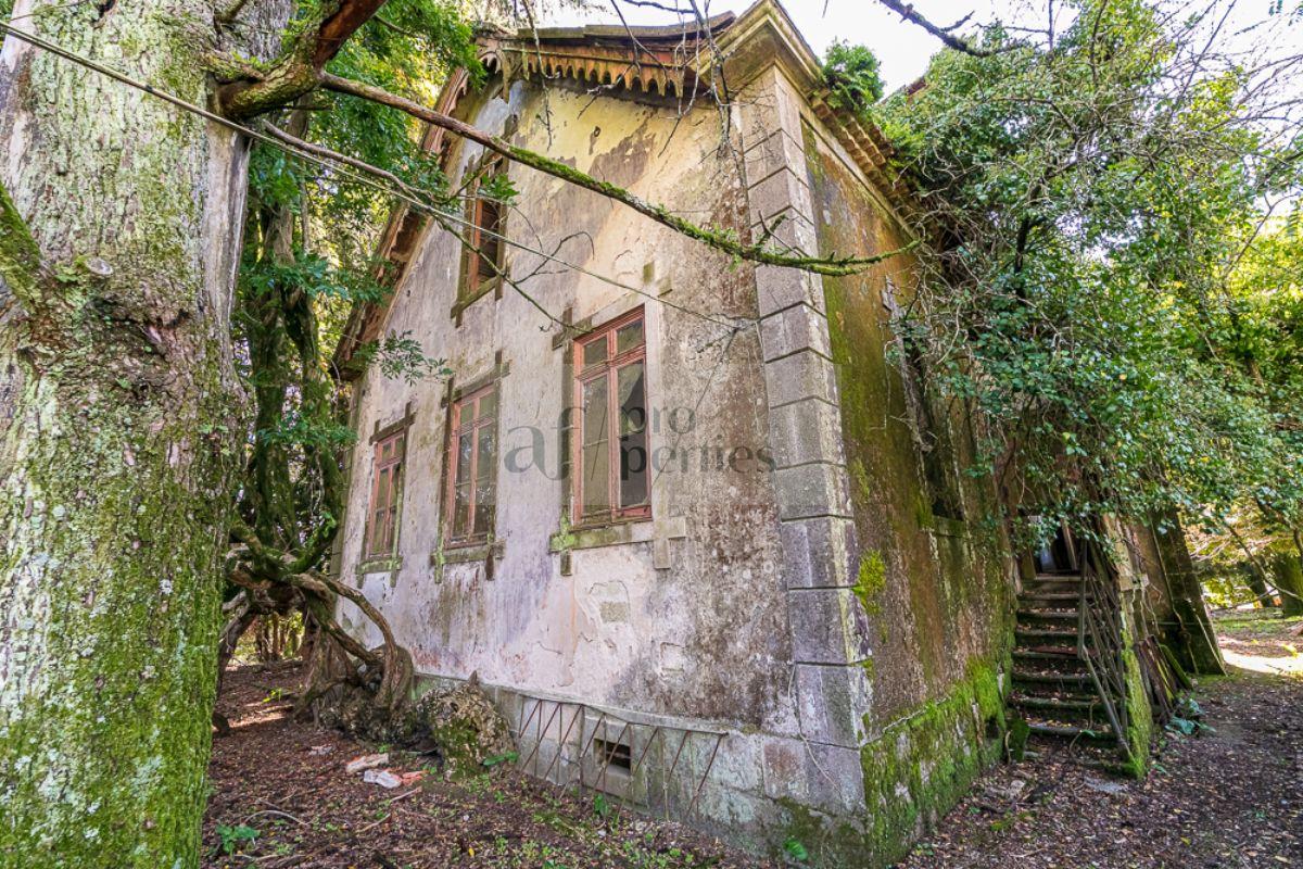 Venda de chão em Tui