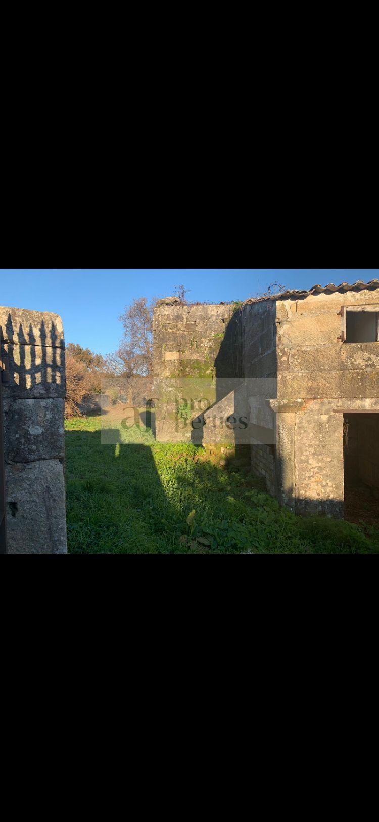 Jardín