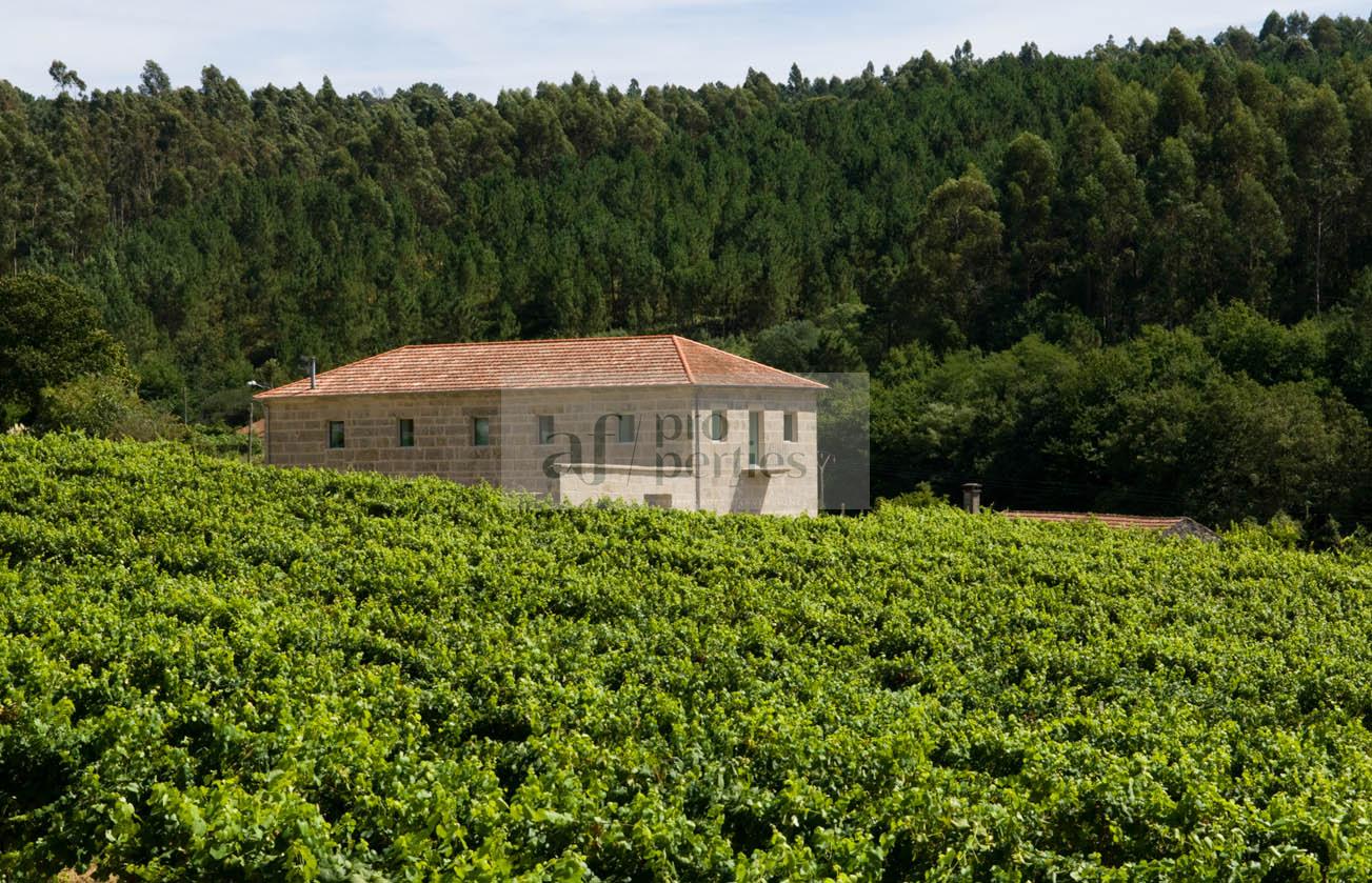 Vendita di chalet in Arbo