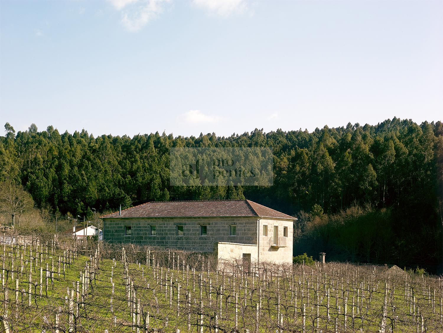 Vendita di chalet in Arbo