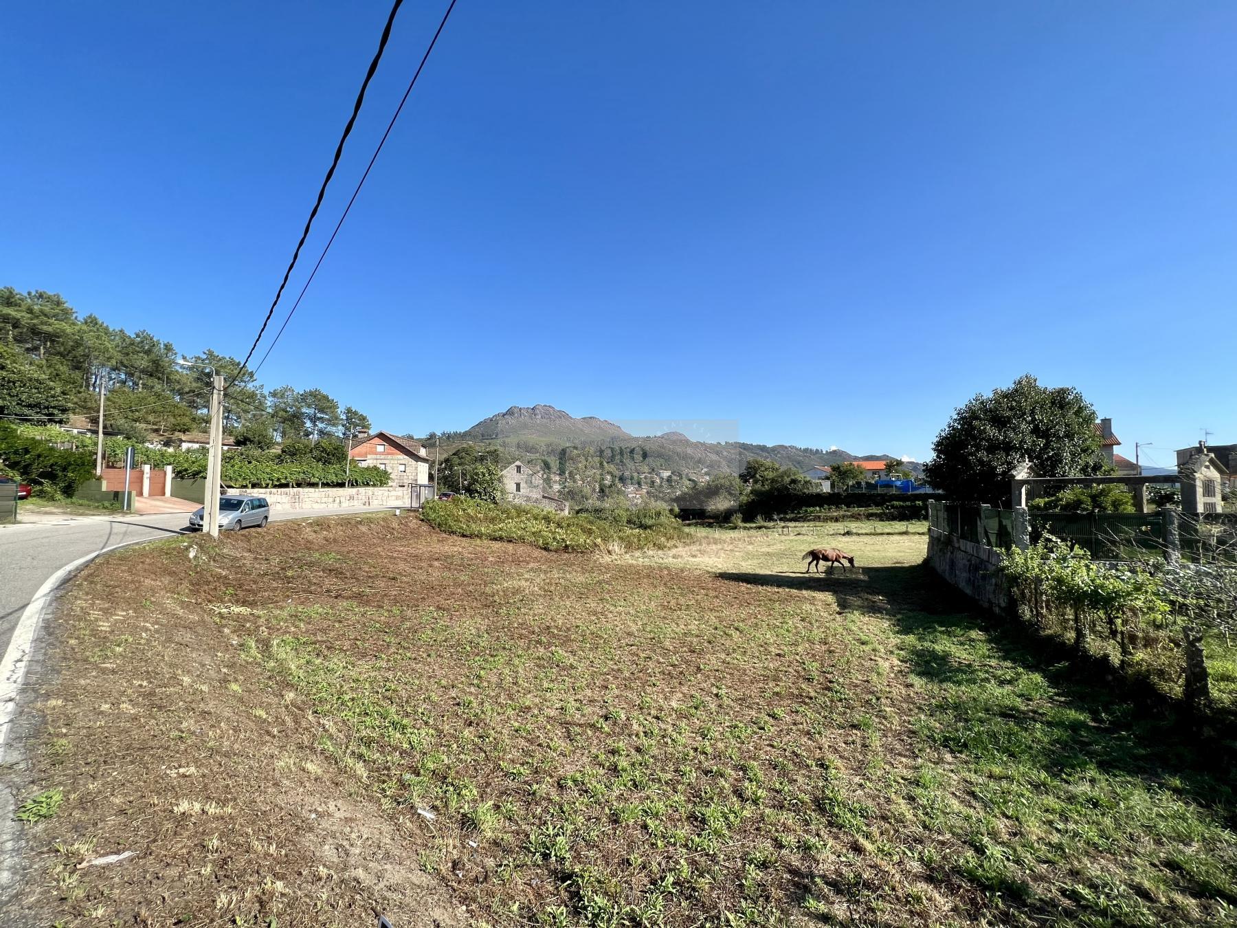 For sale of land in Gondomar