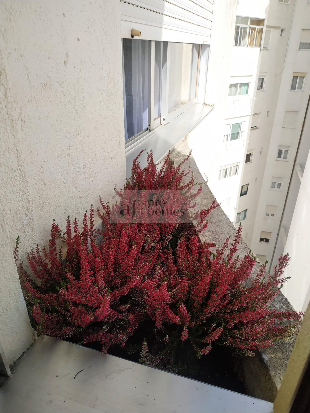 Vendita di appartamento in Vigo