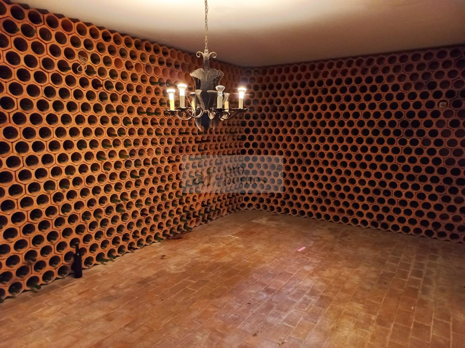 Cellar