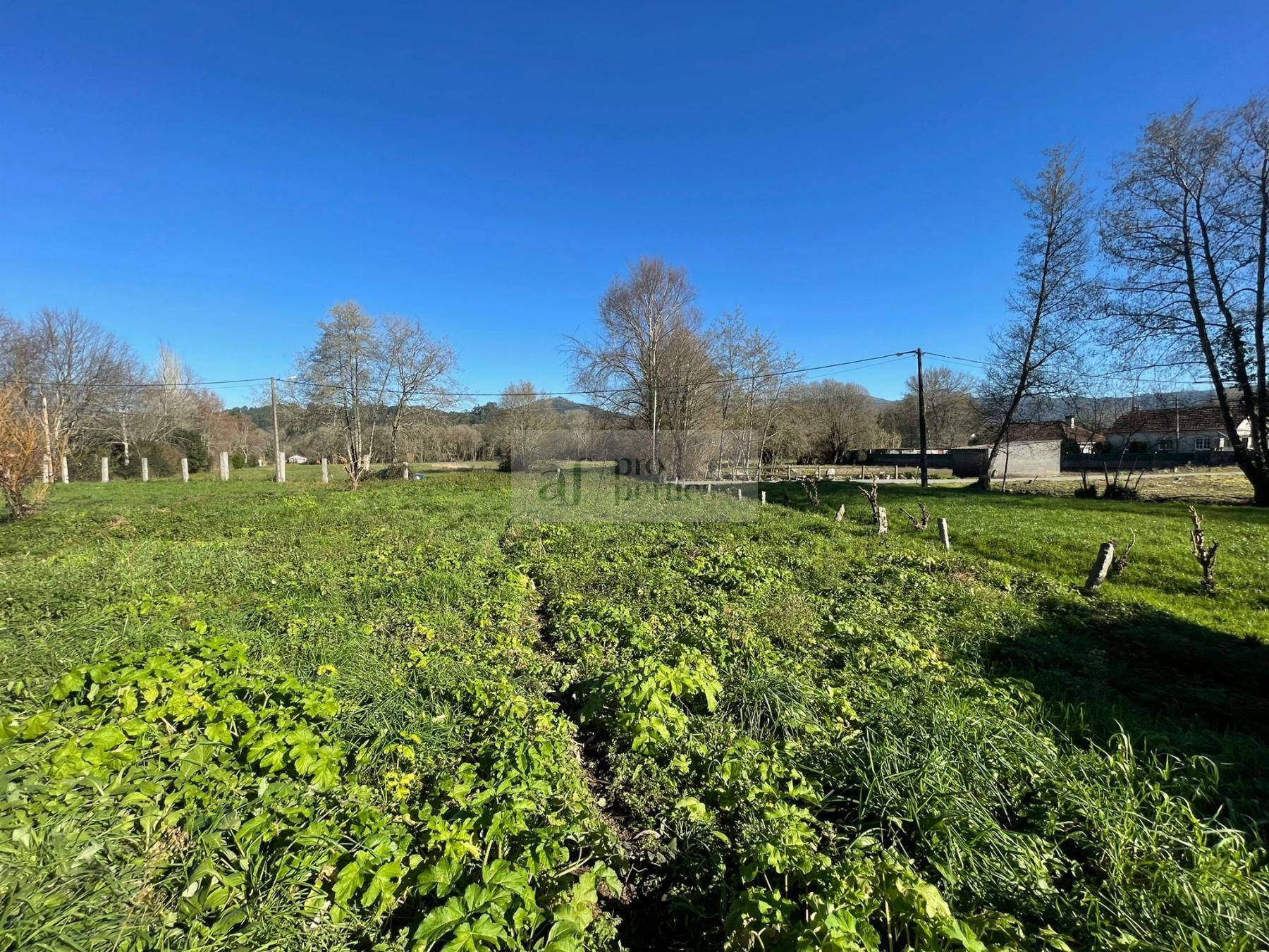 Vendita di terreno in Gondomar