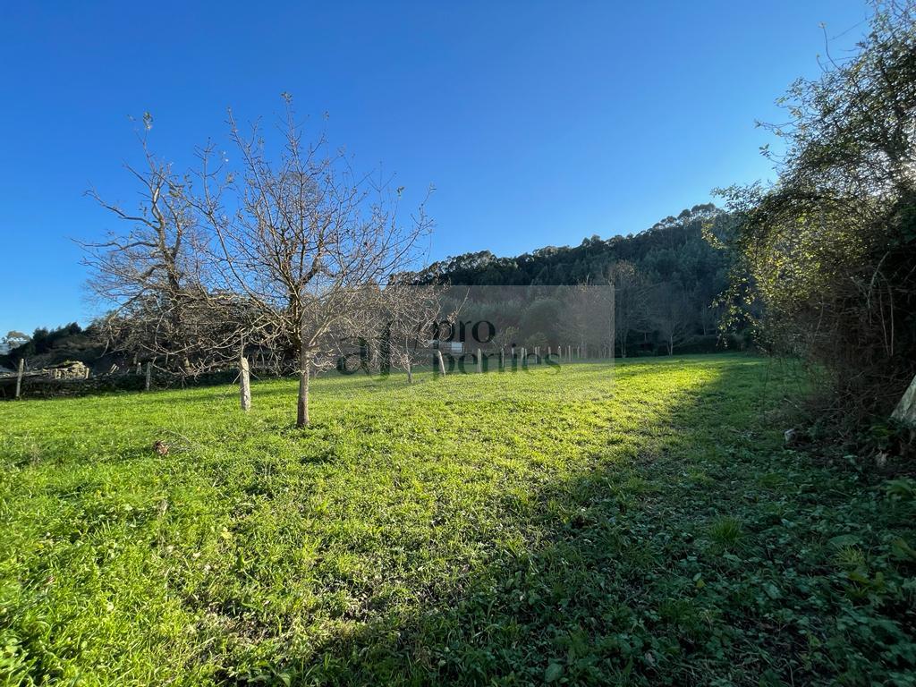 Vendita di casa in Baiona