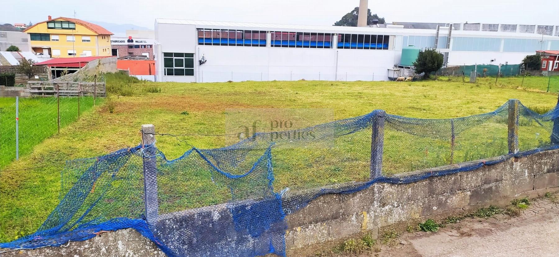 Ground