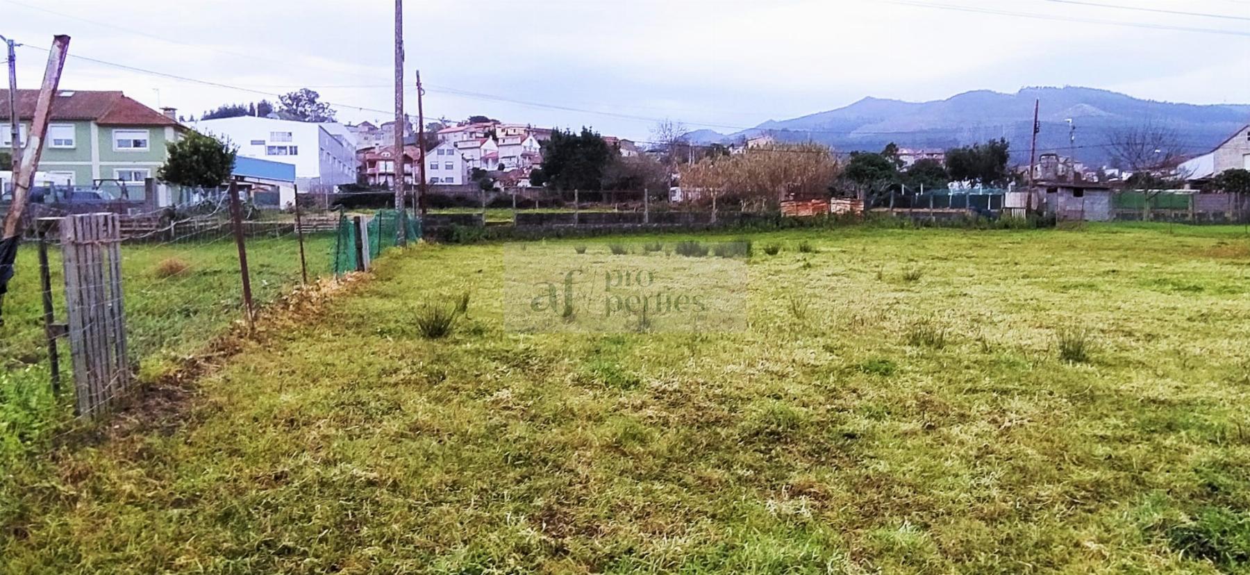 Ground