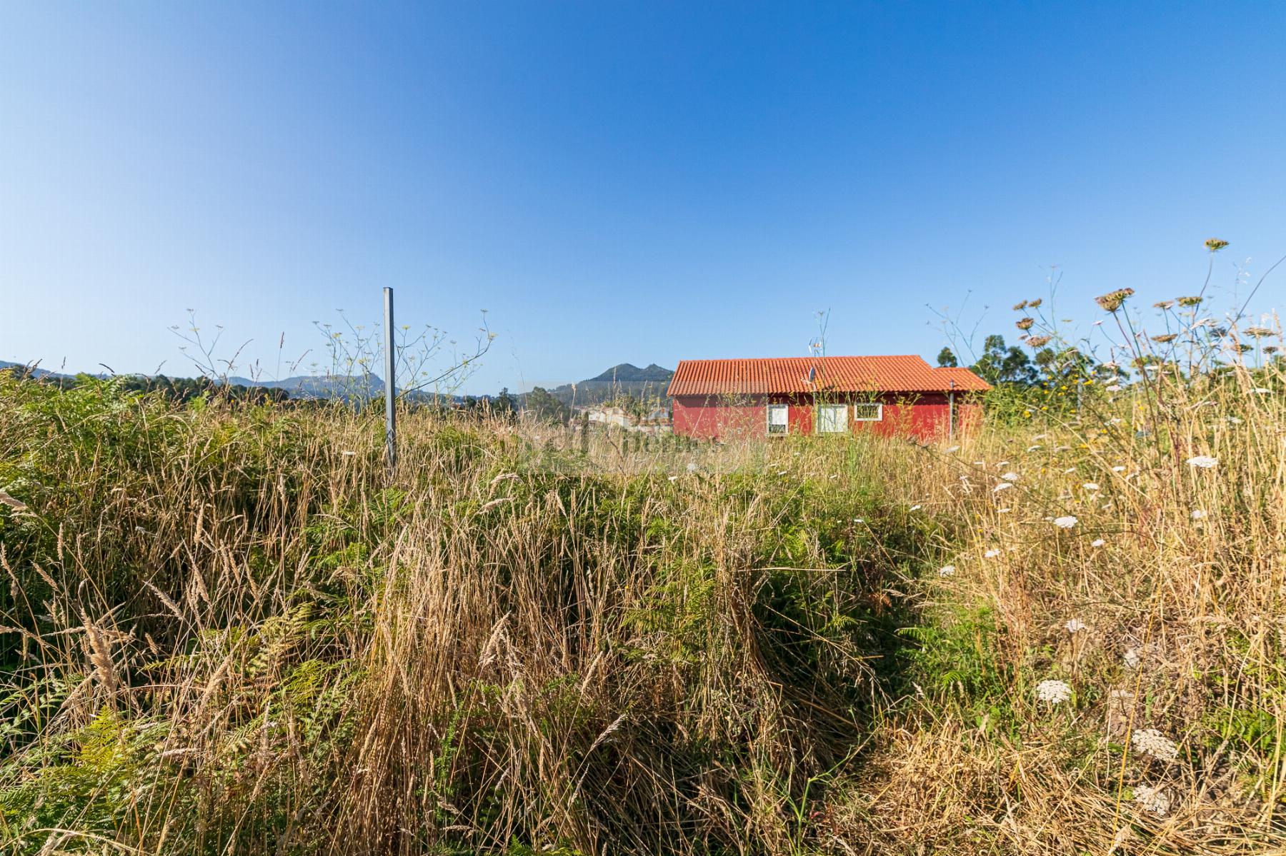 Ground