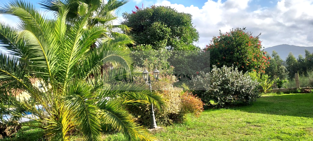 Jardín