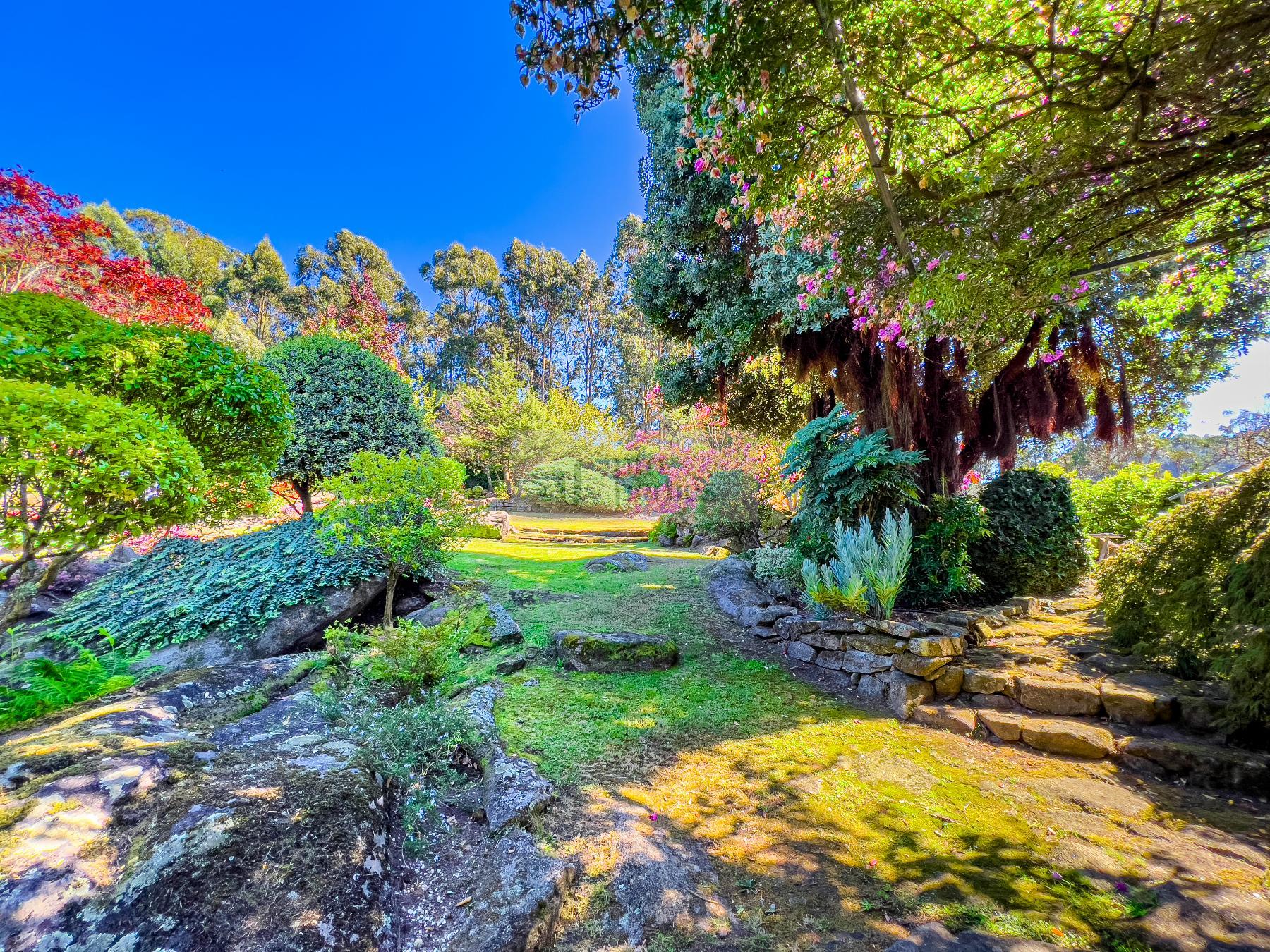Jardín