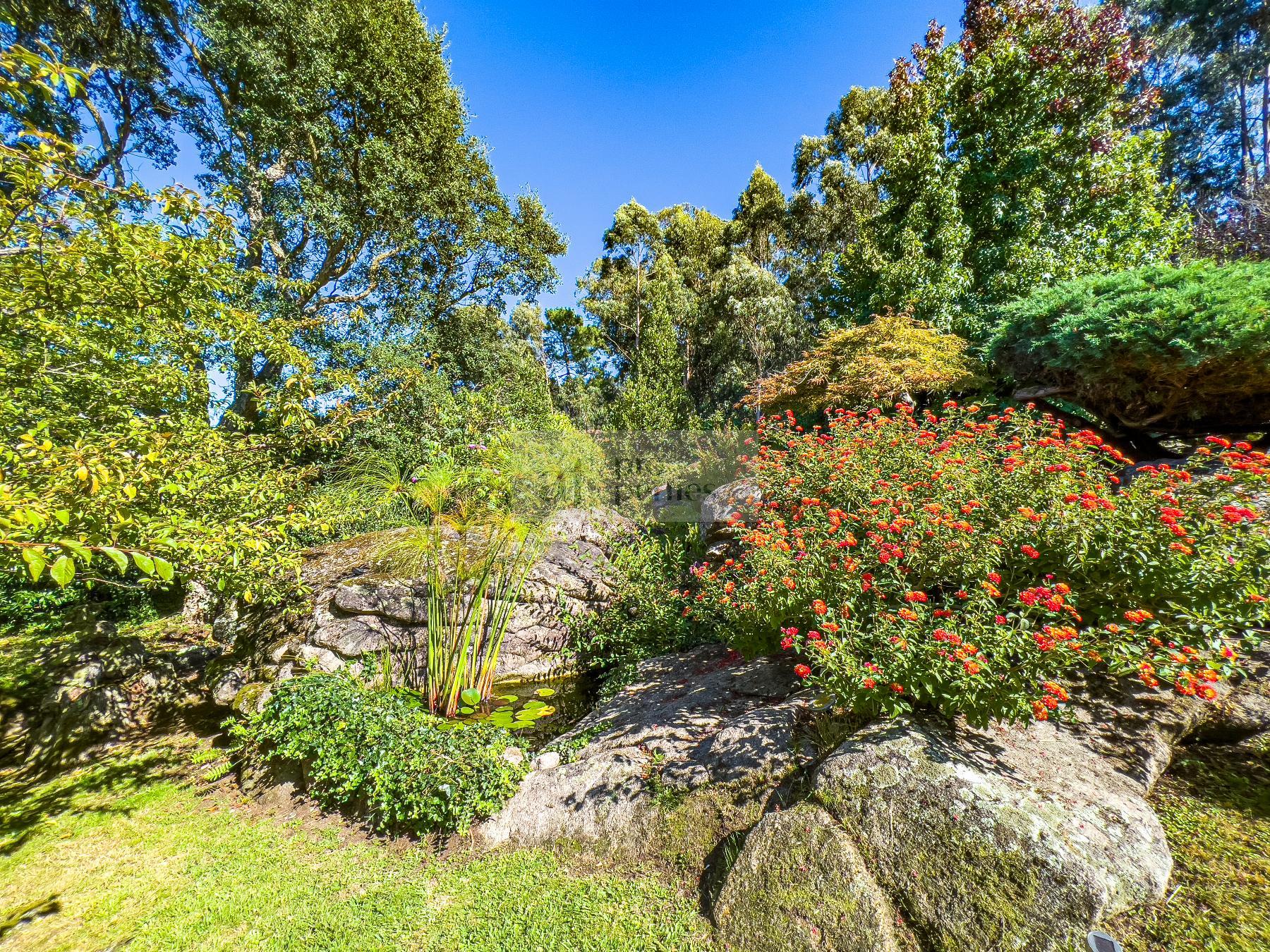 Jardín