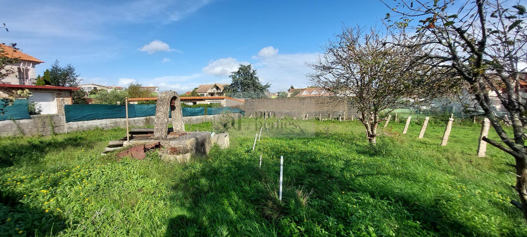 Venda de chão em Vigo