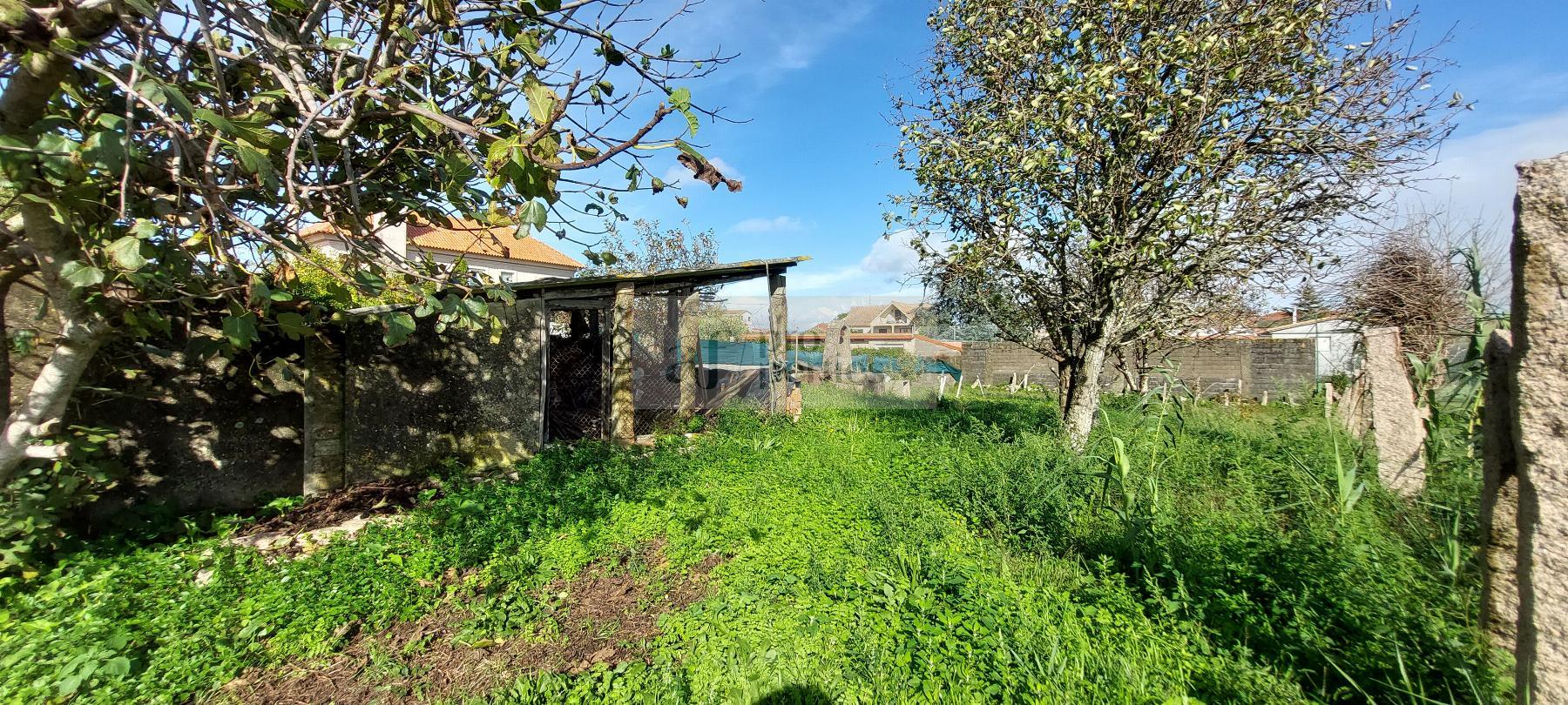 Venda de chão em Vigo