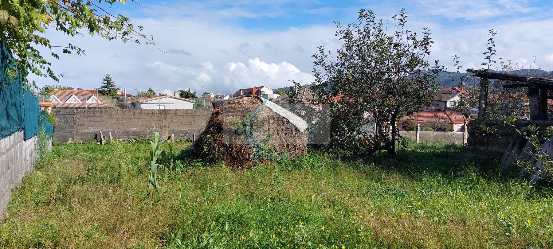 Venda de chão em Vigo