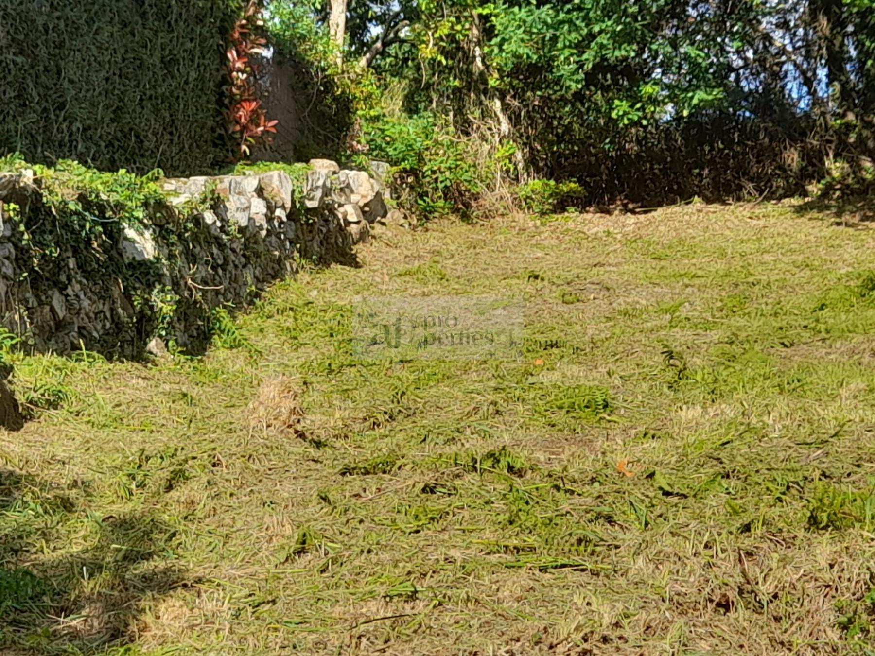 Ground