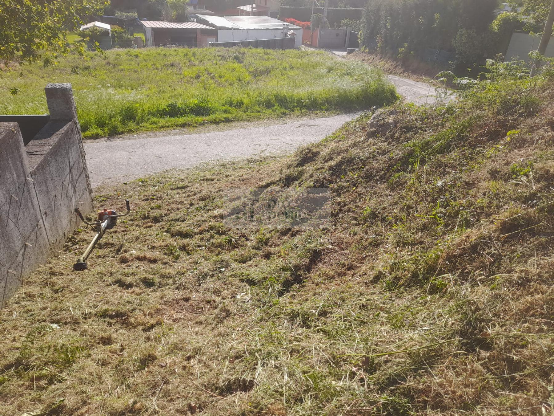 Ground