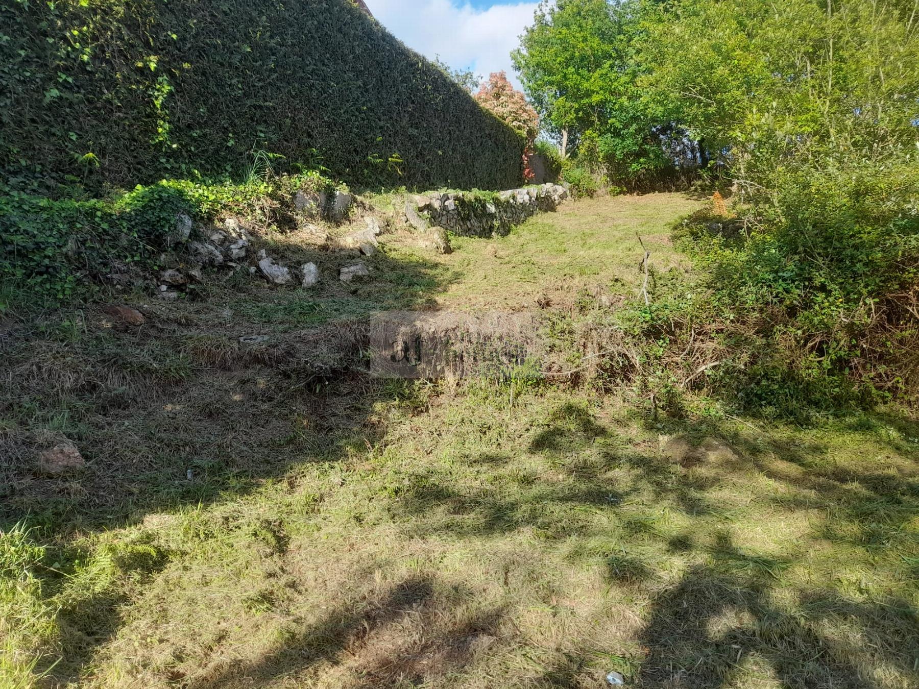 Ground