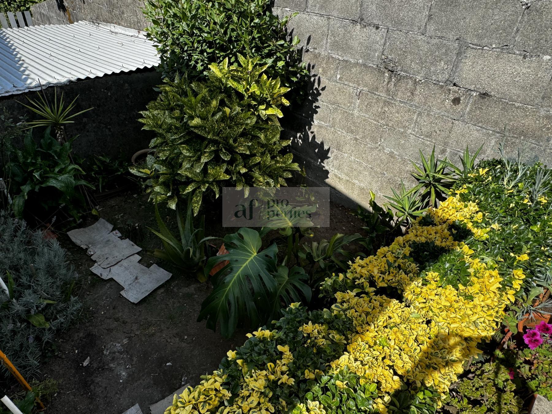Jardín