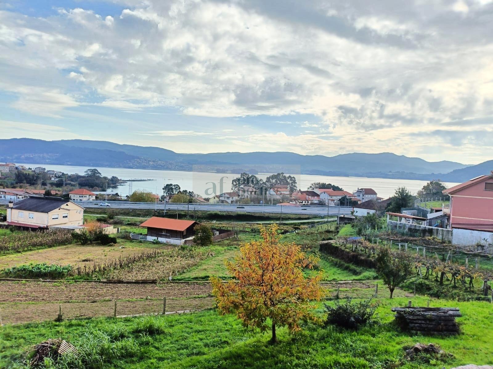 Vistas