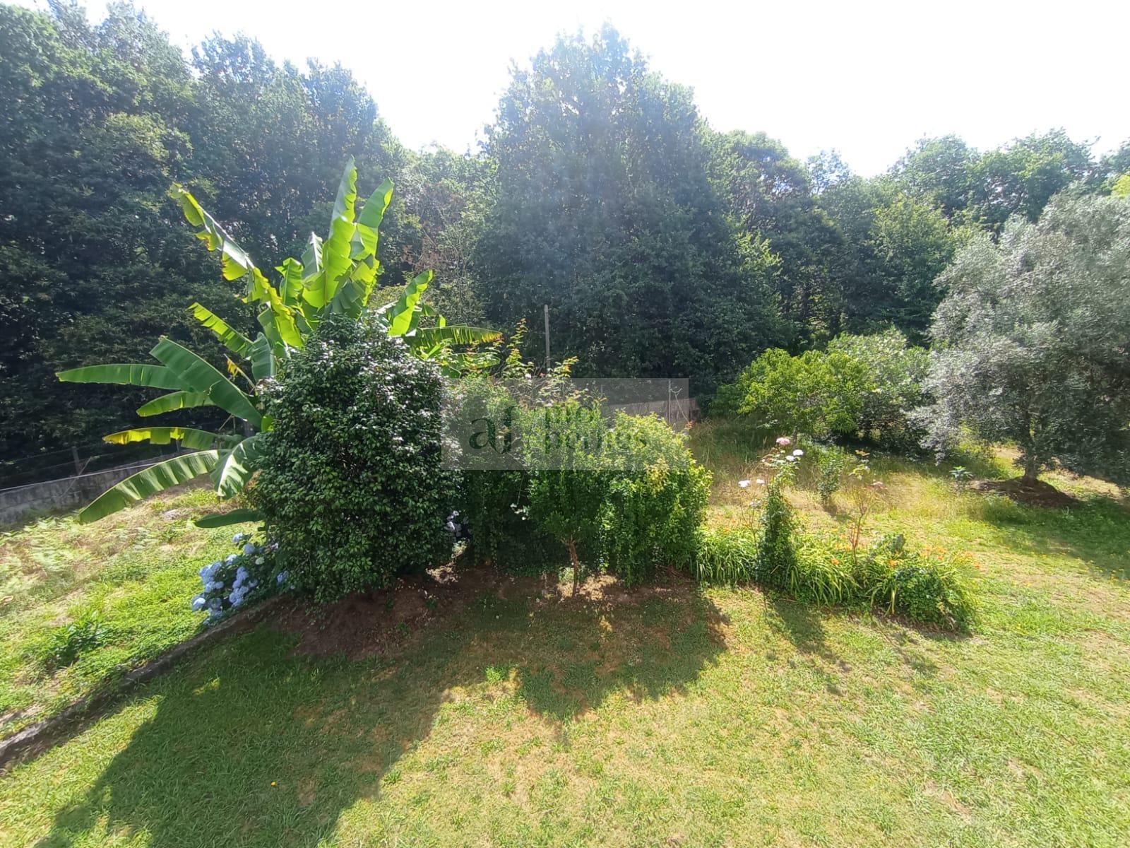Jardín