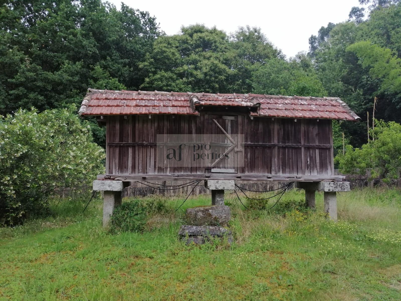 Jardín