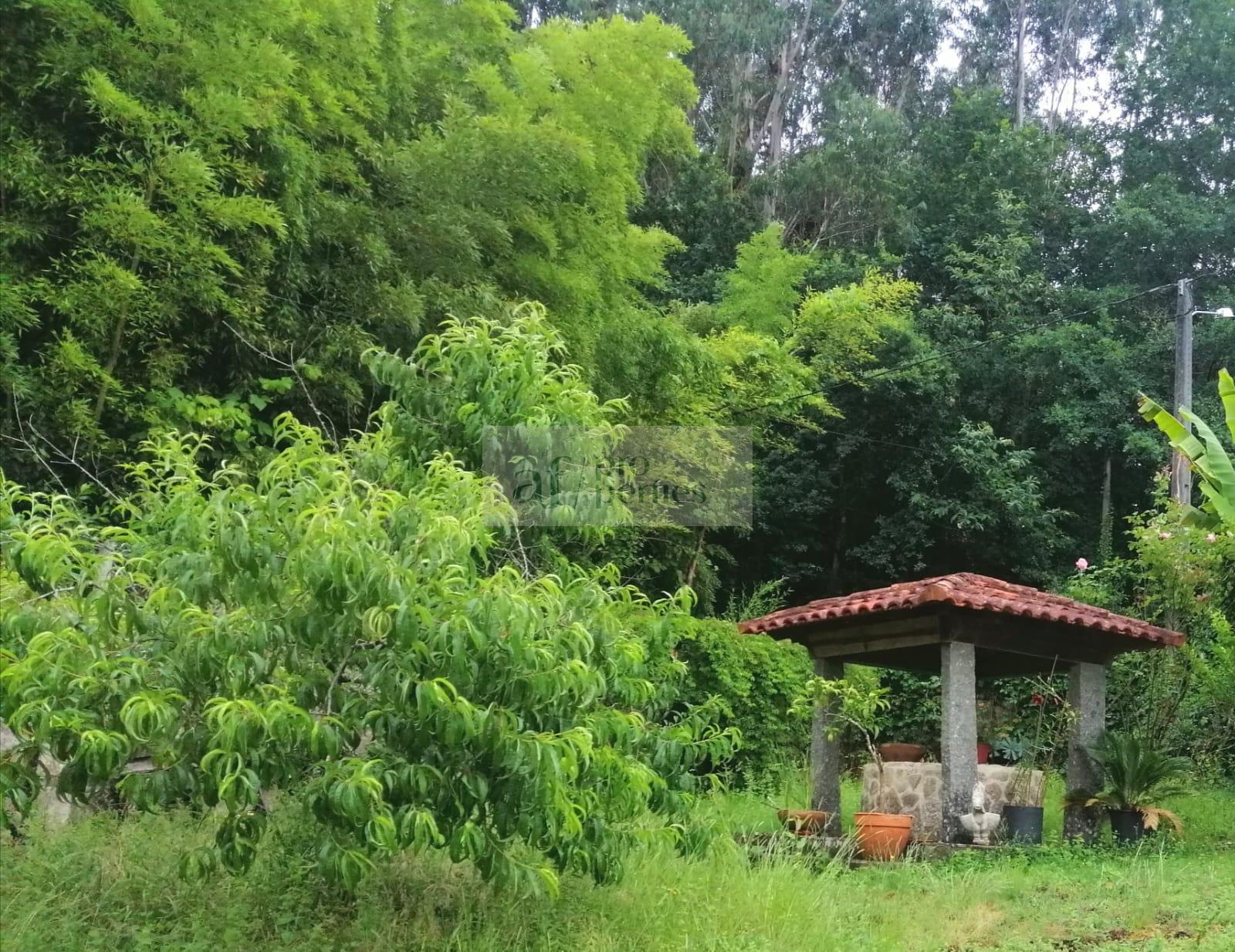 Jardín