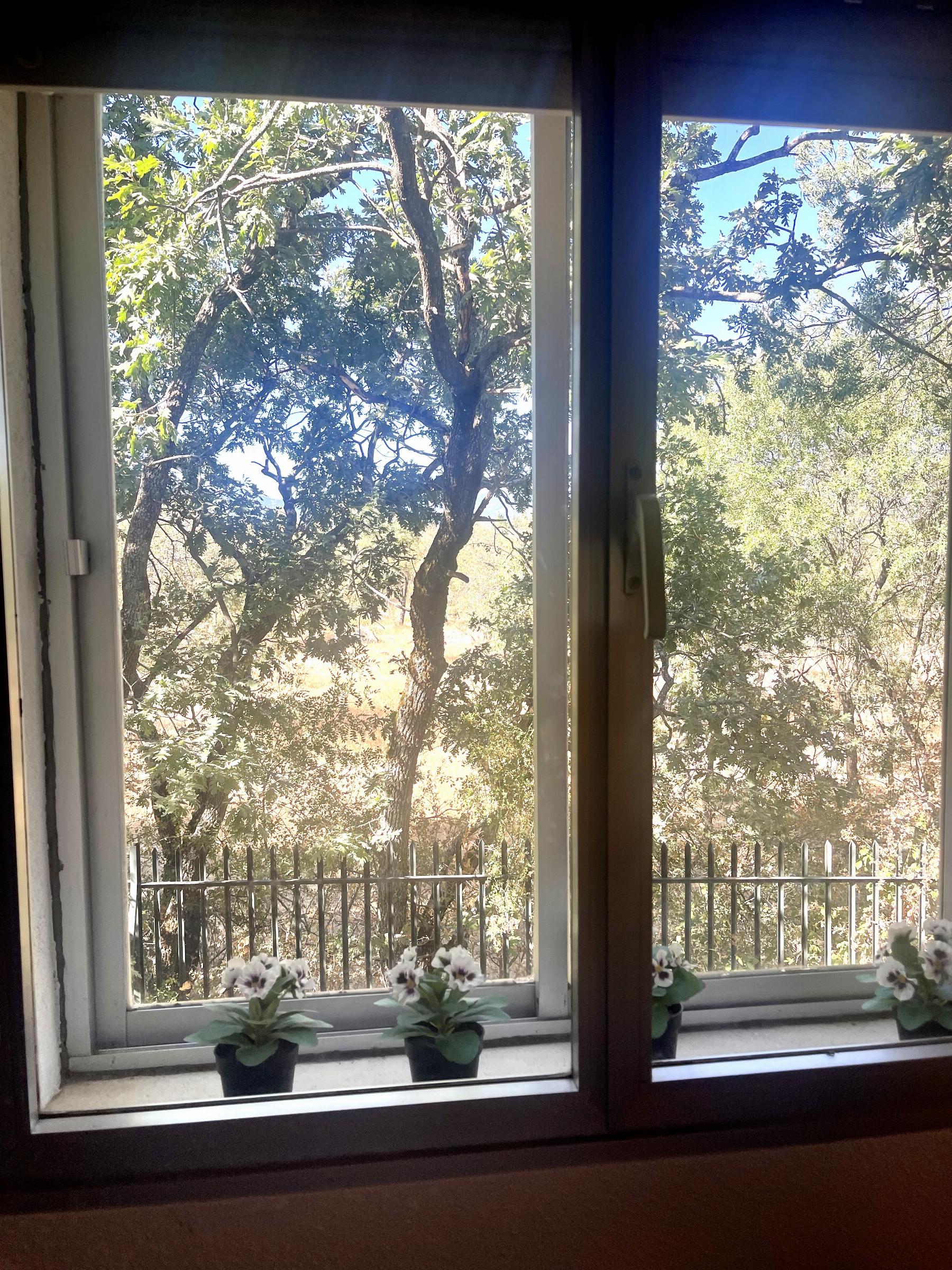 Vistas