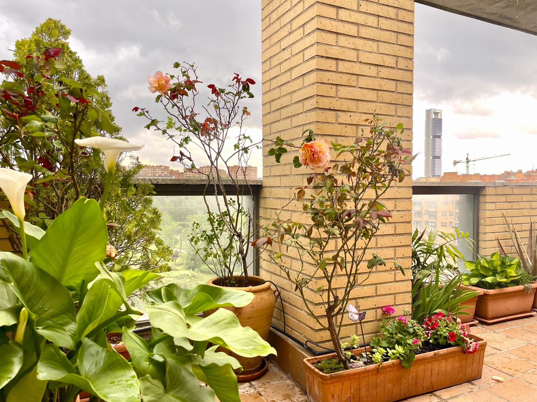 Alquiler de apartamento en Madrid