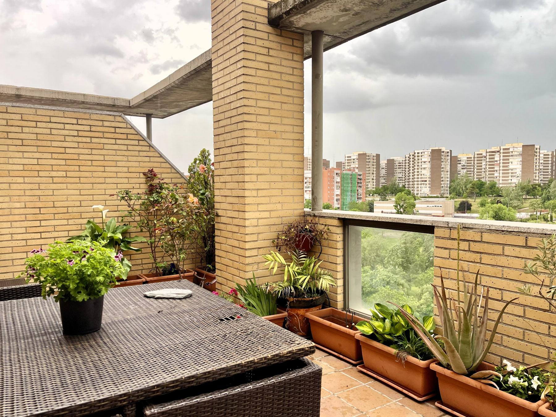 Alquiler de apartamento en Madrid