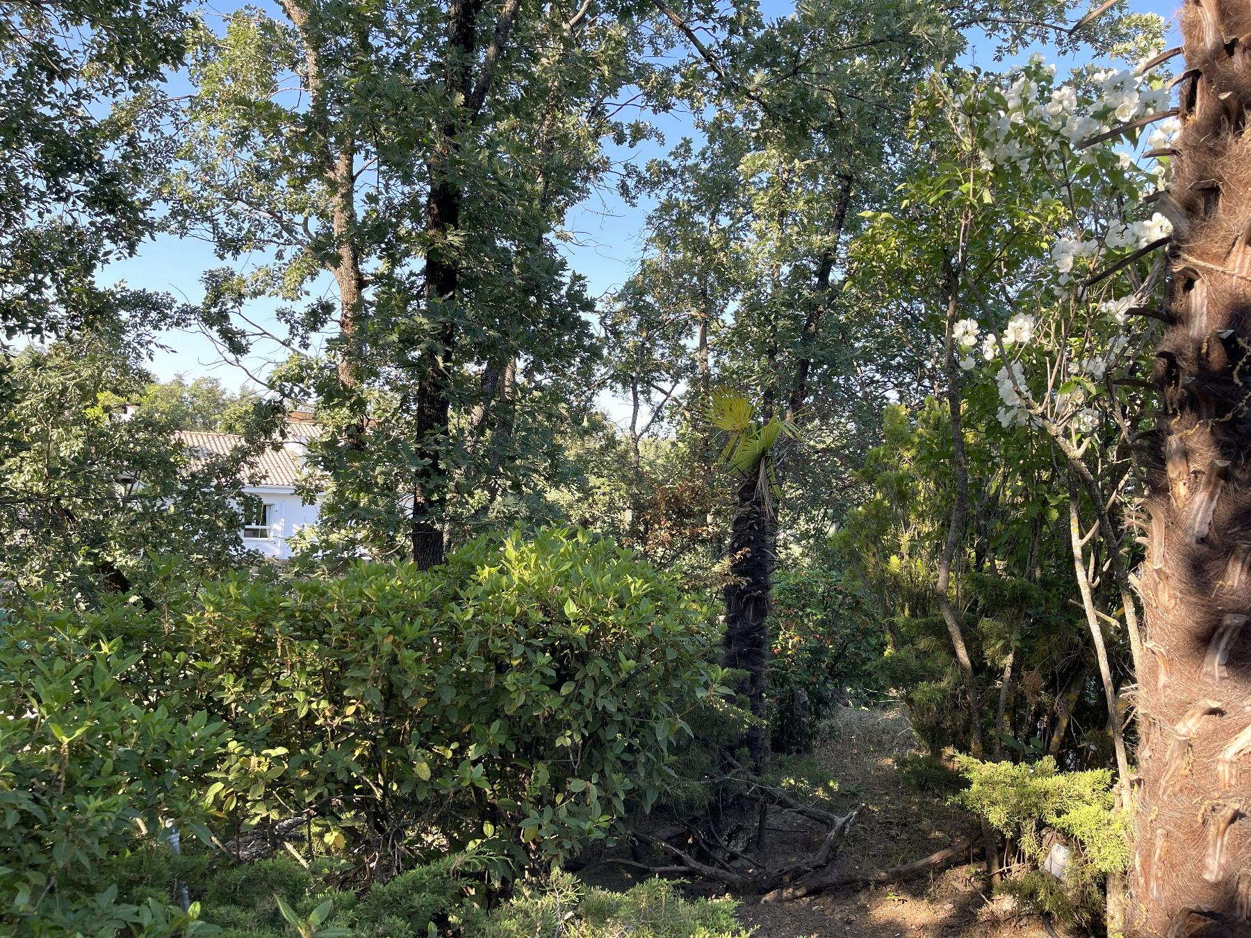 Terreno