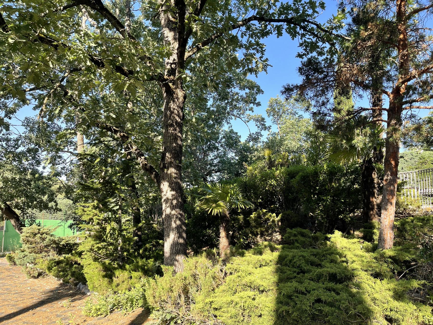 Terreno