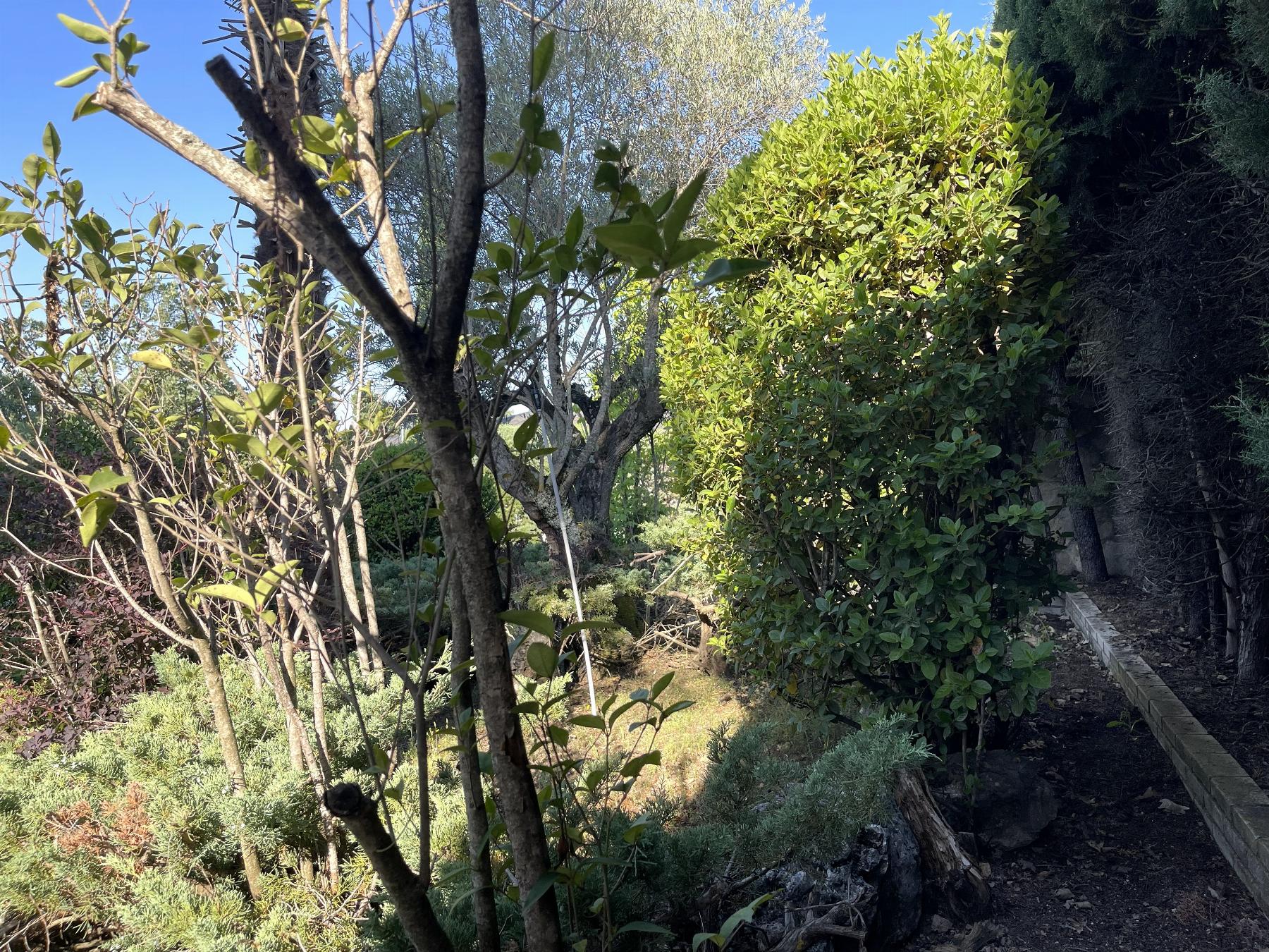 Terreno