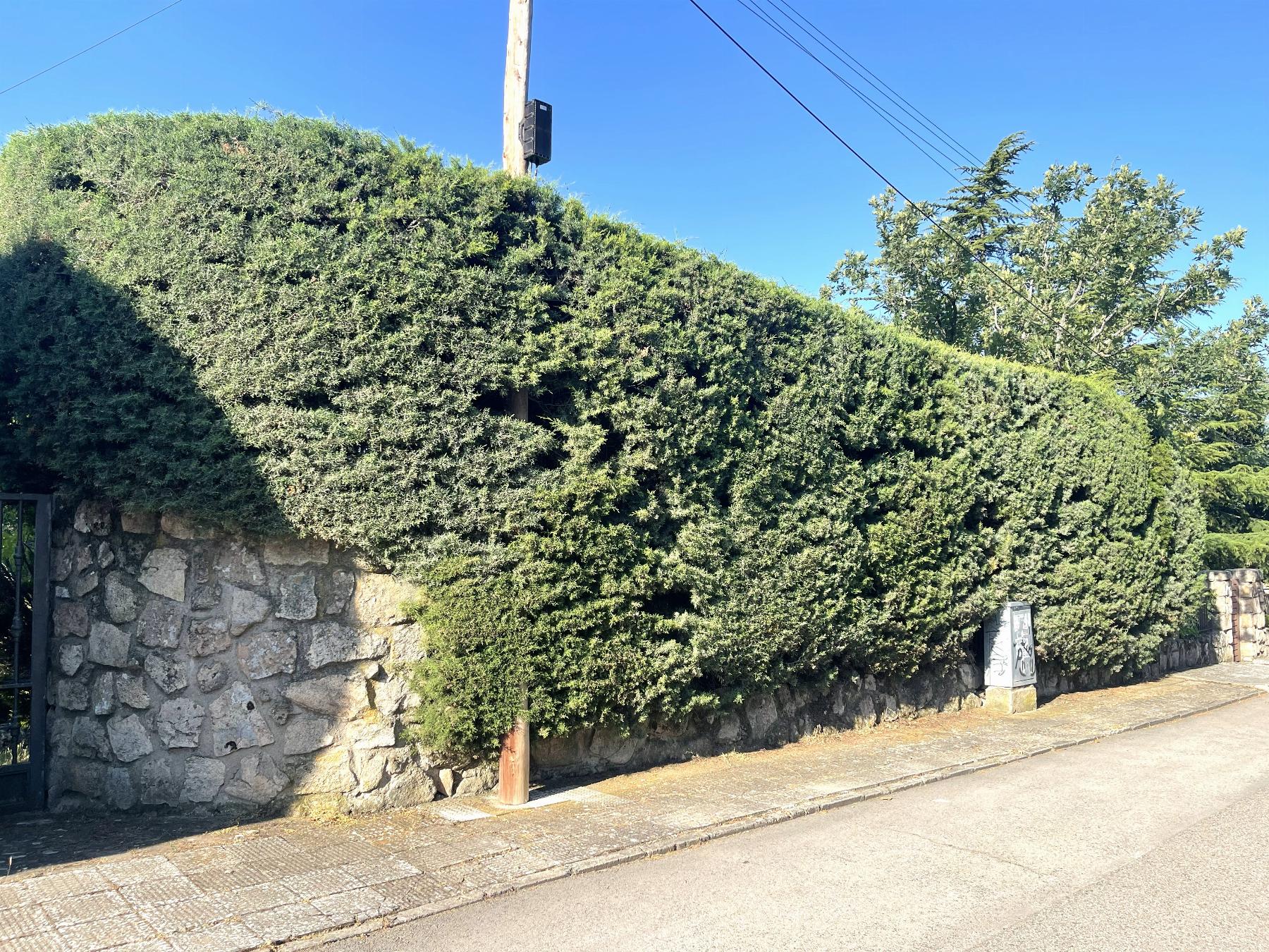 Terreno