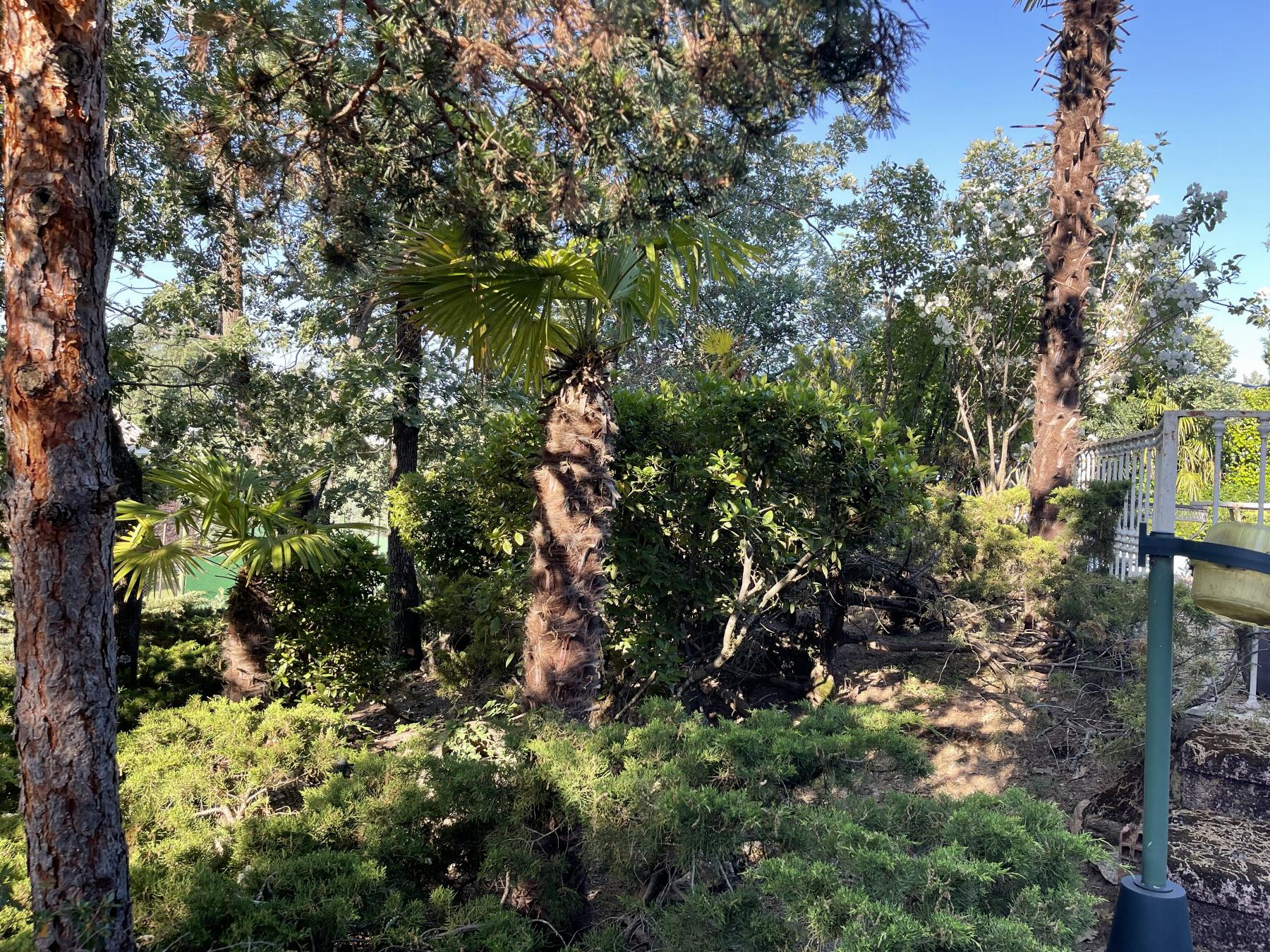 Terreno