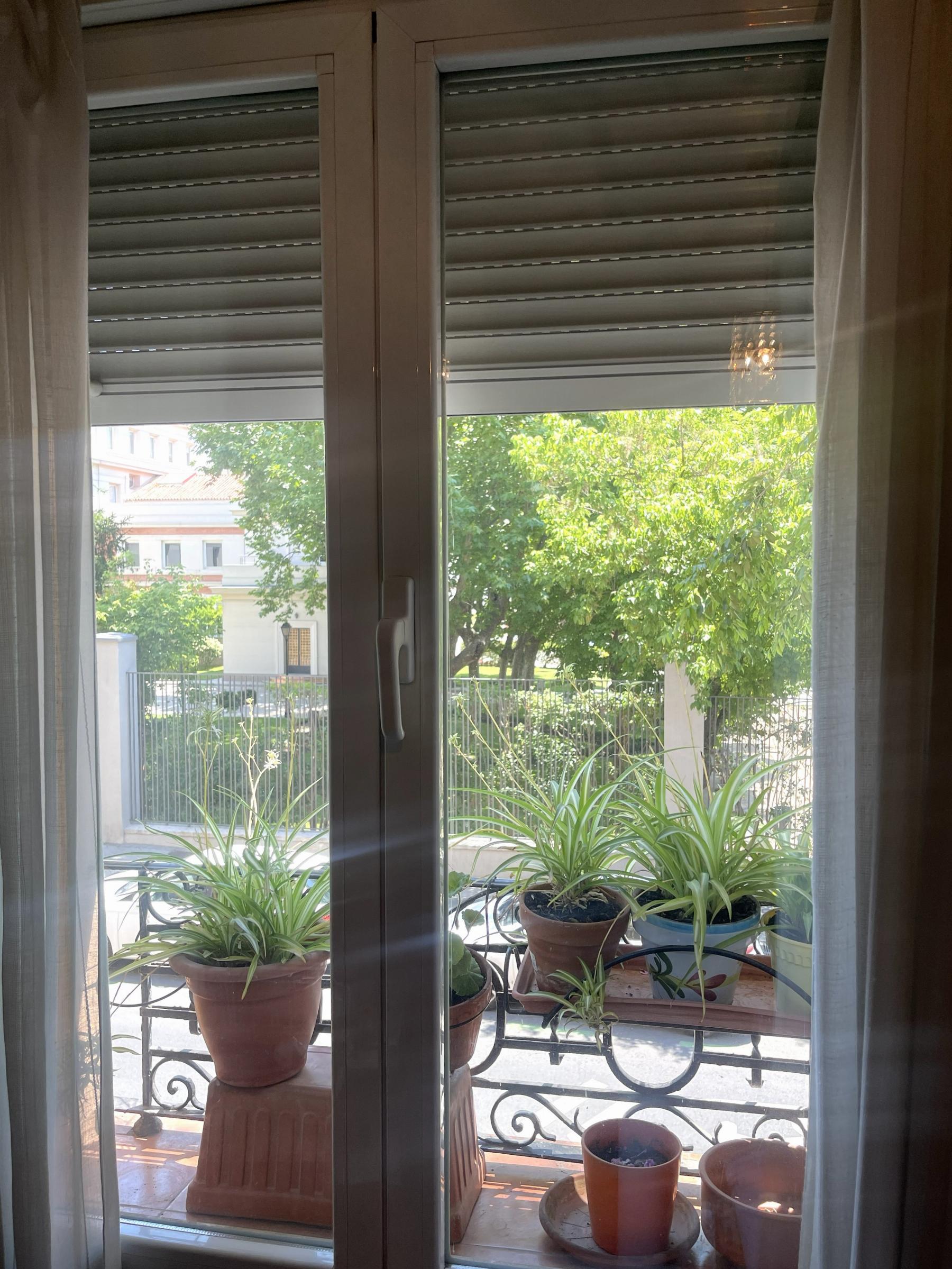 Detalles