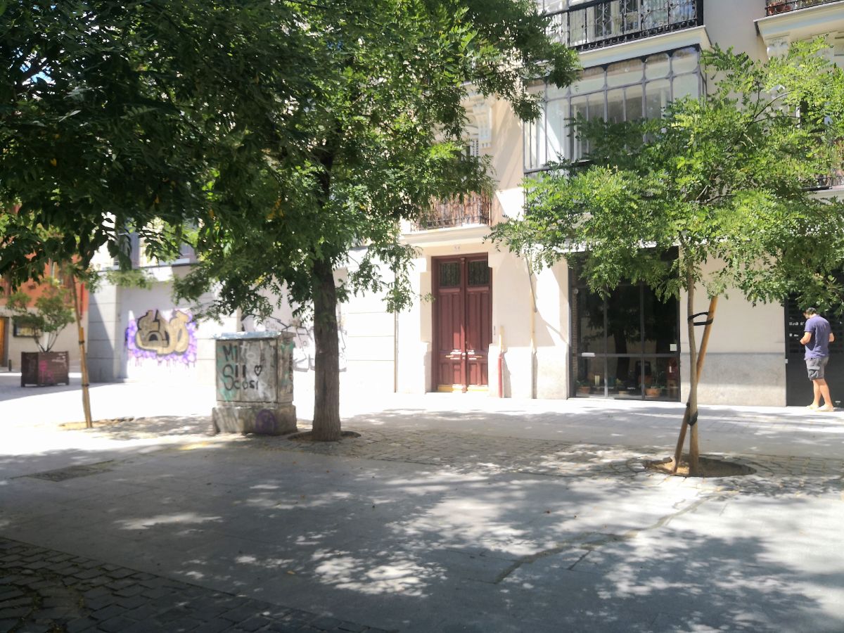 Alquiler de piso en Madrid