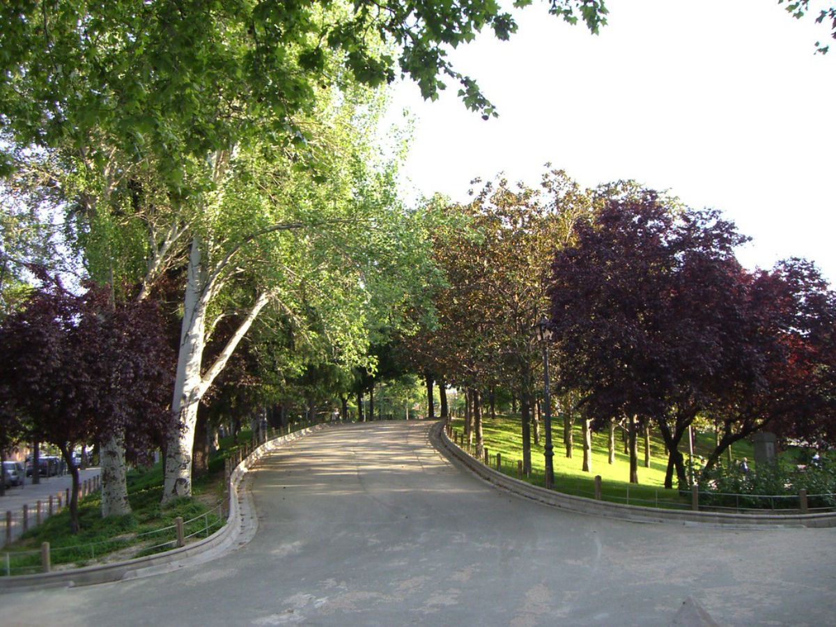 Environs