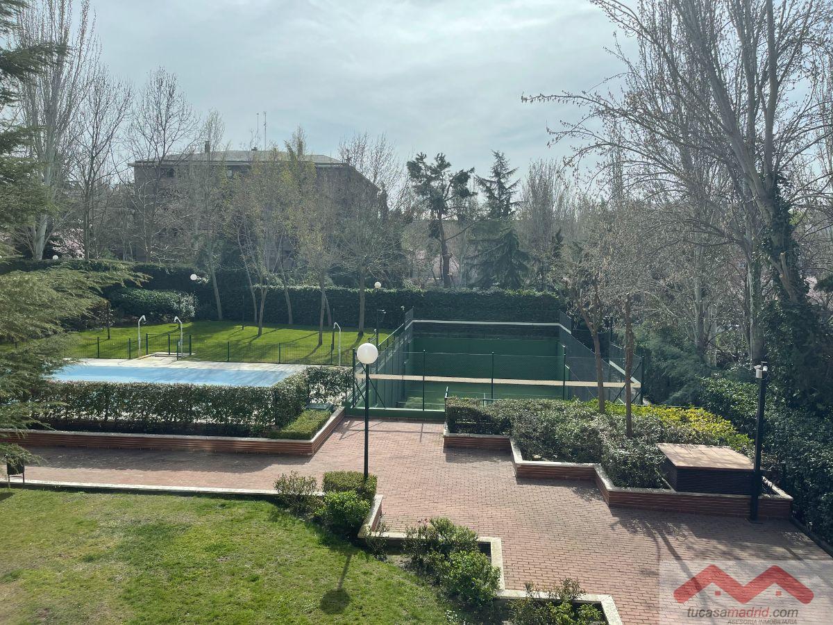 Jardín Jardín