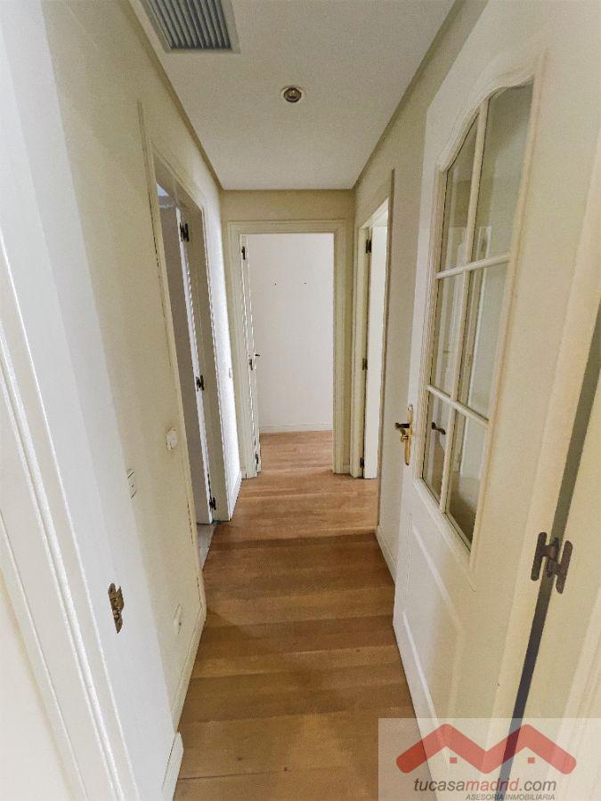 For rent of flat in Madrid