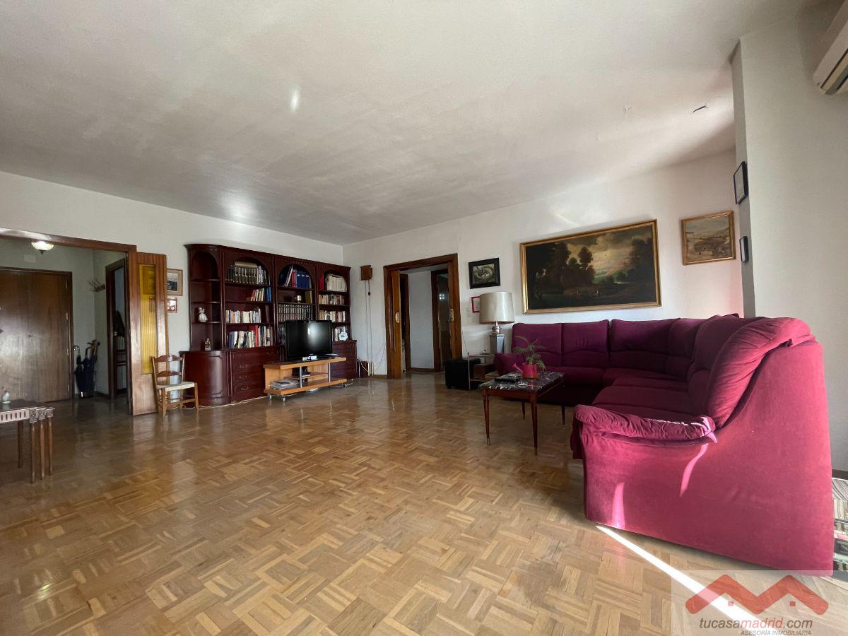 Salón Salón
