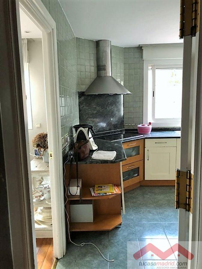 Cocina Cocina