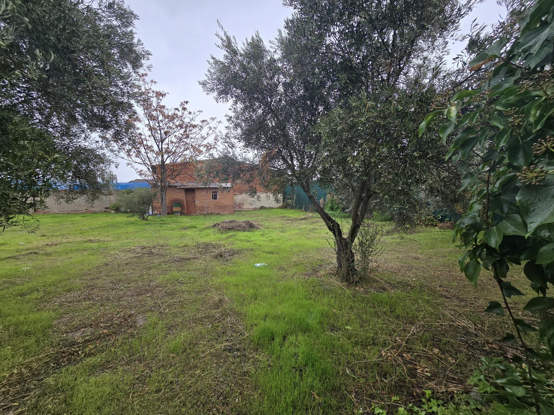 Venta de finca rústica en Leganés