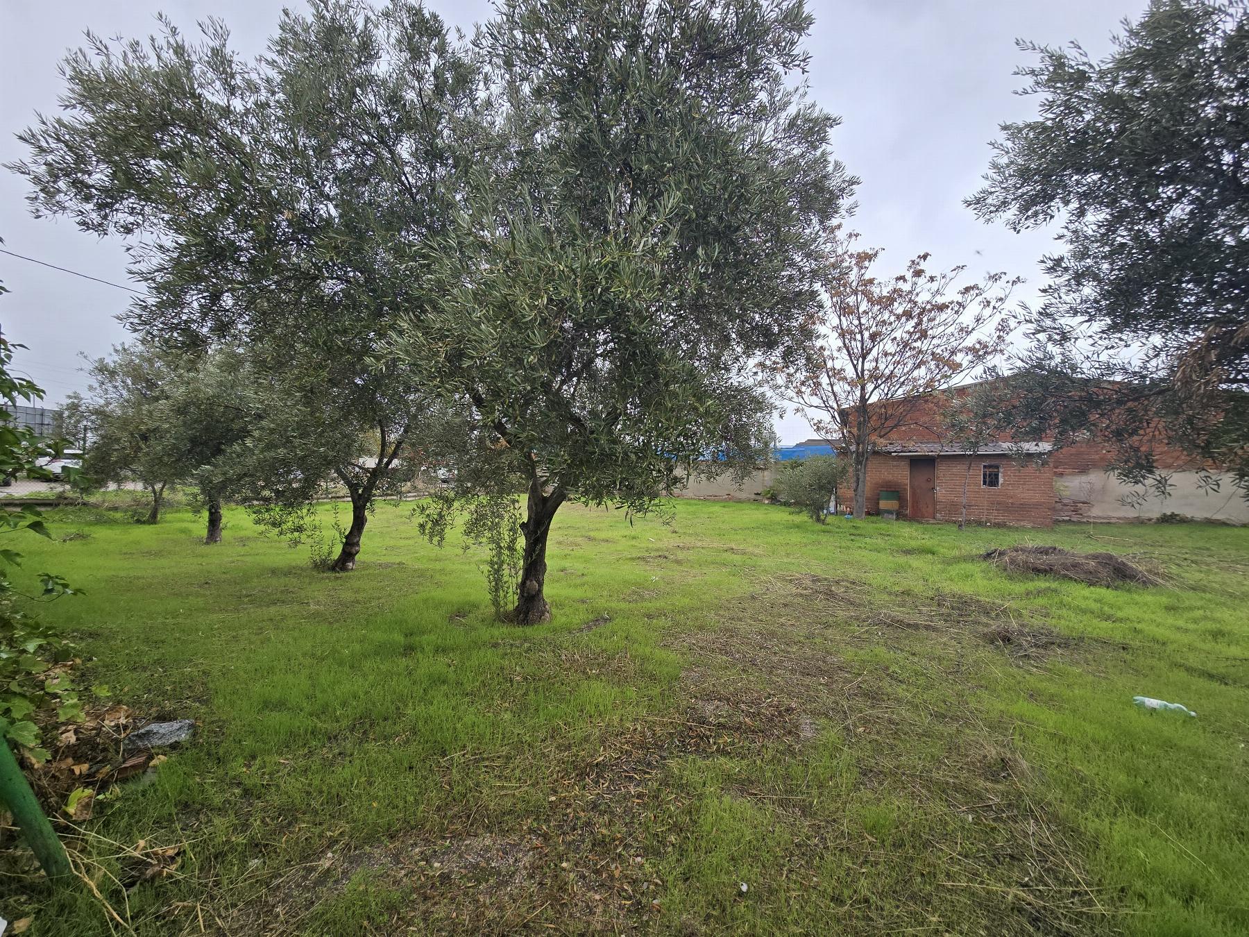 Venta de finca rústica en Leganés