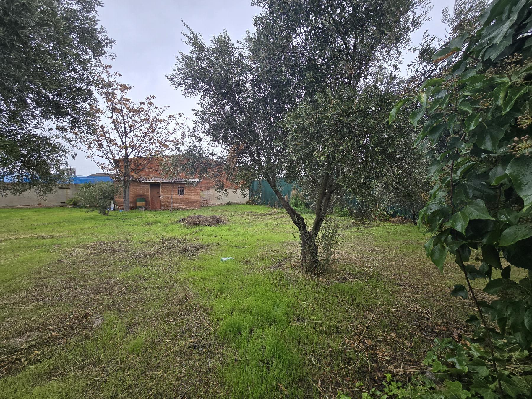 Venta de finca rústica en Leganés