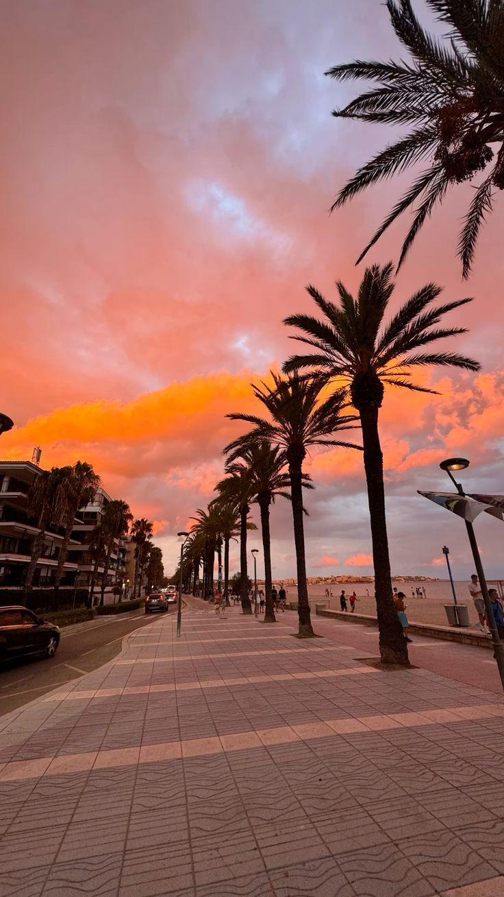 Alquiler de apartamento en Zahara de los Atunes