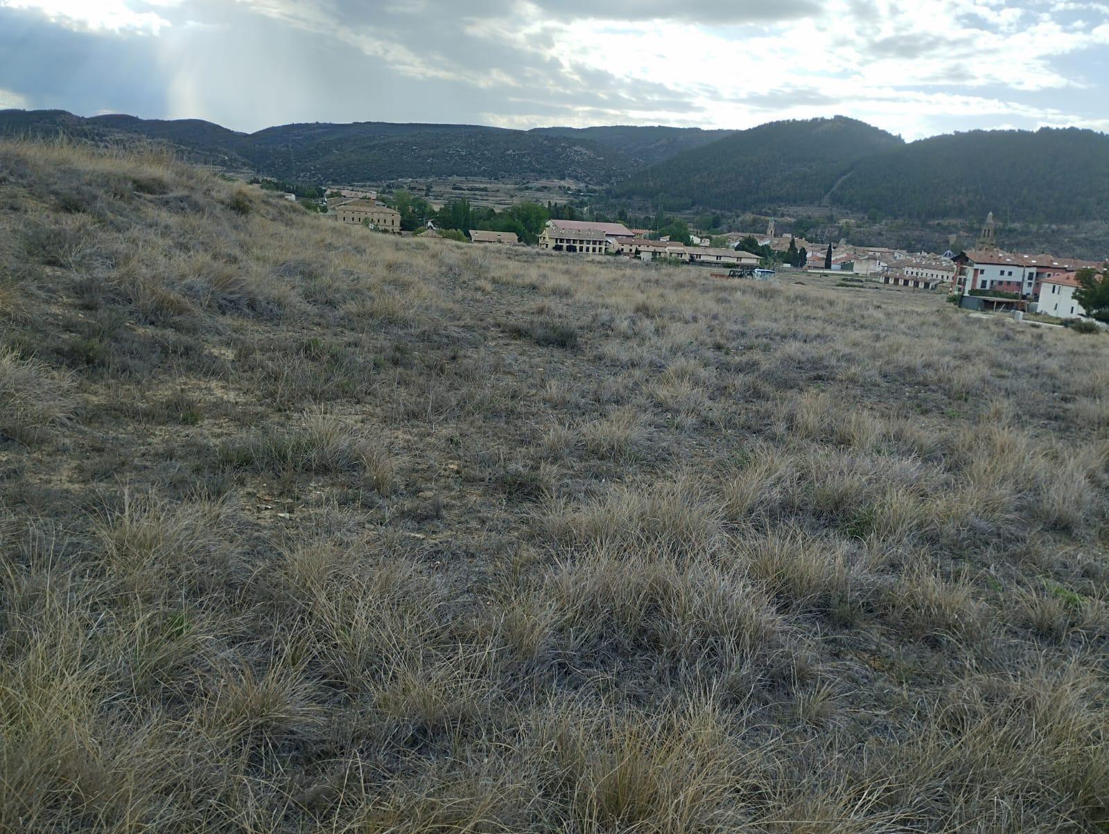 For sale of land in Rubielos de Mora