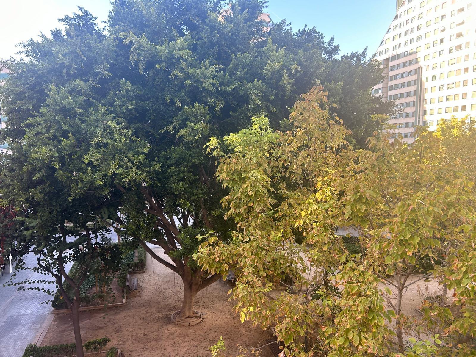 Surroundings